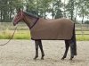 Derka siatkowa FLY FREE - Busse